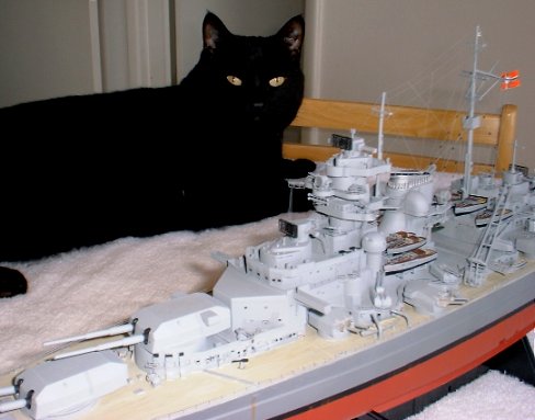 Tamiya 1/350 Bismarck